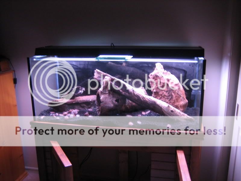 newtank033.jpg