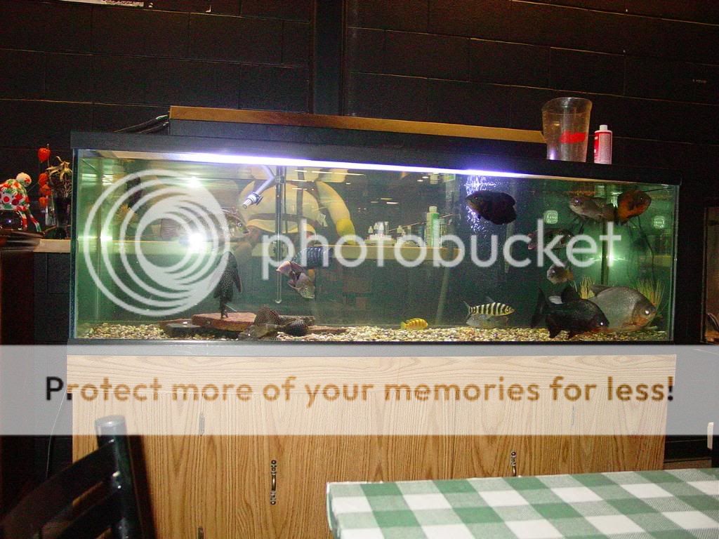 DSC06375.jpg
