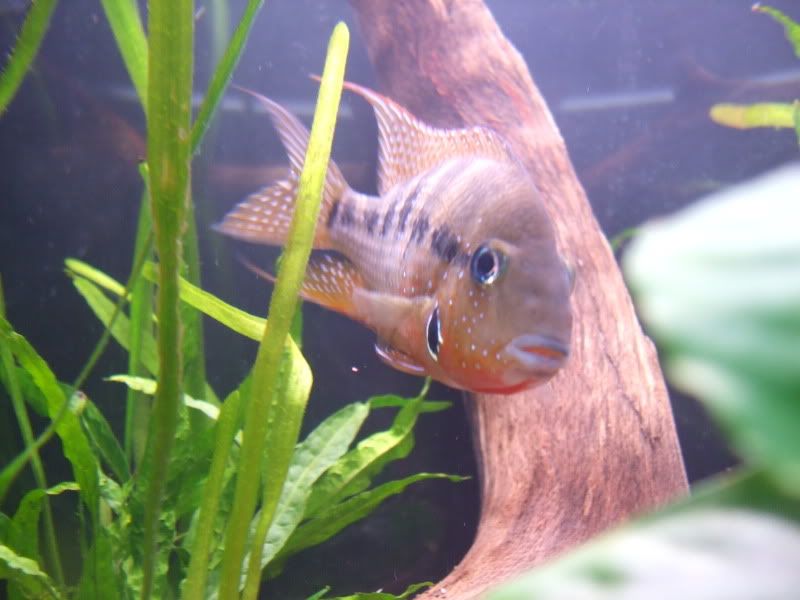 DSCF2118.jpg
