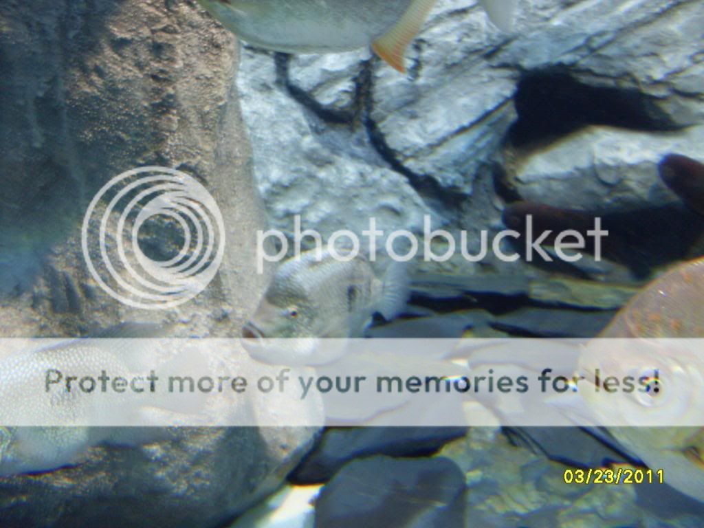 SDC12638.jpg