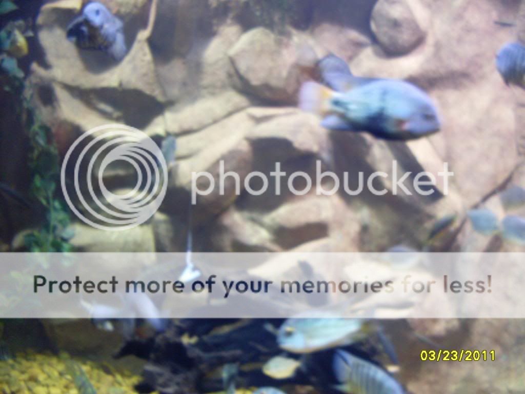 SDC126062.jpg