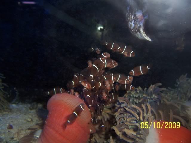 100_6147.jpg