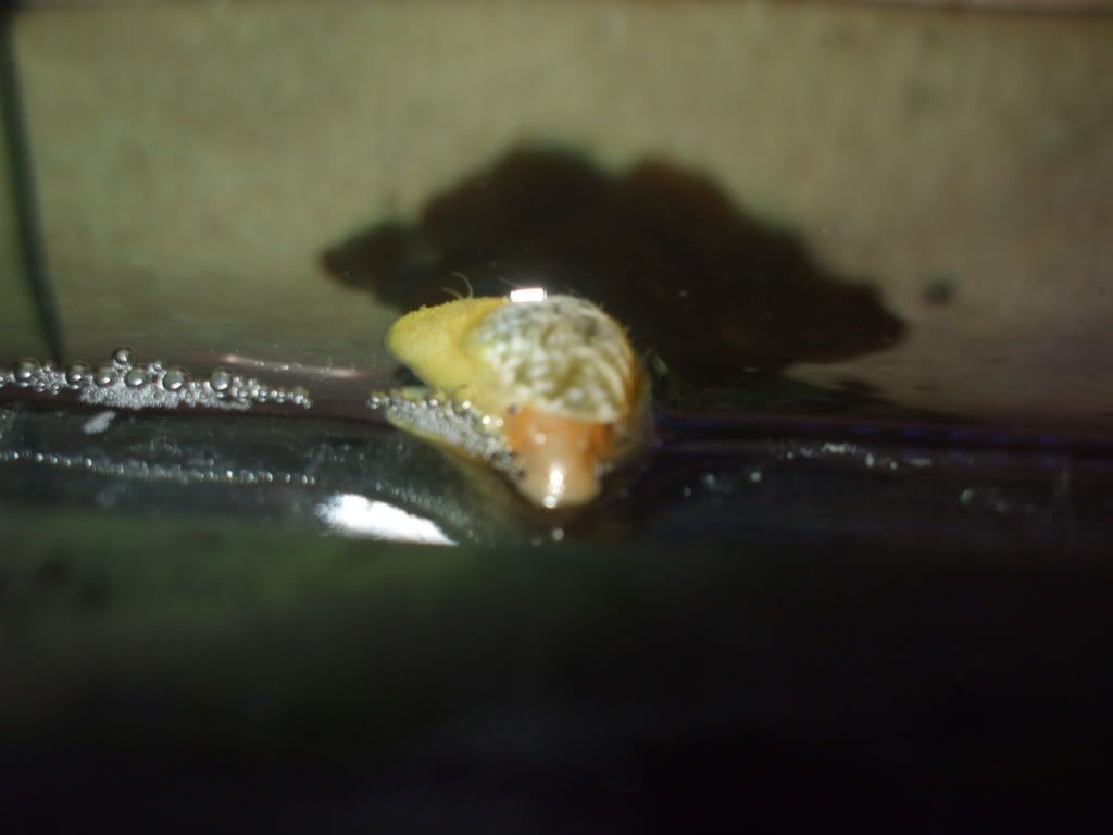 DSCF9039.jpg