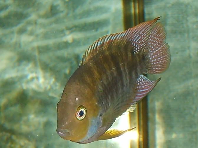 S5009858.jpg
