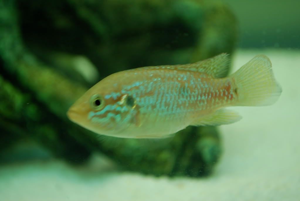 DSC_0027.jpg