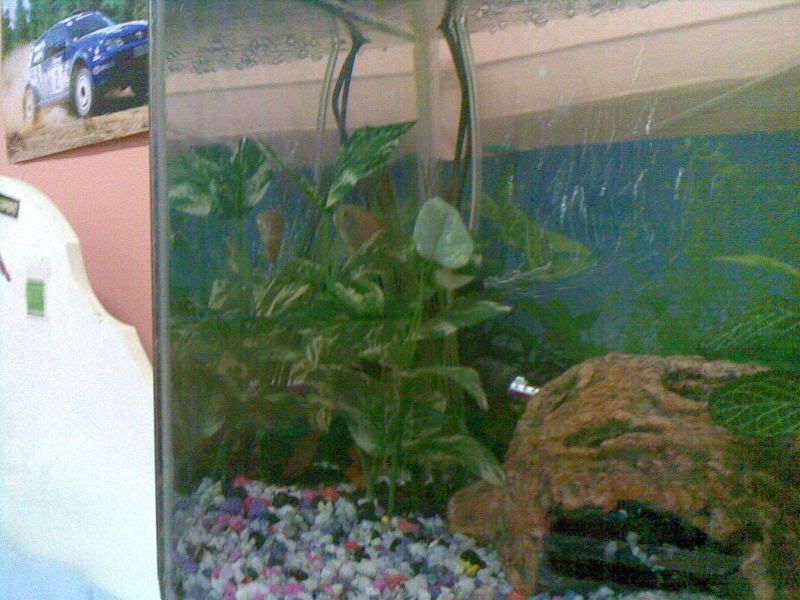 12082009.jpg
