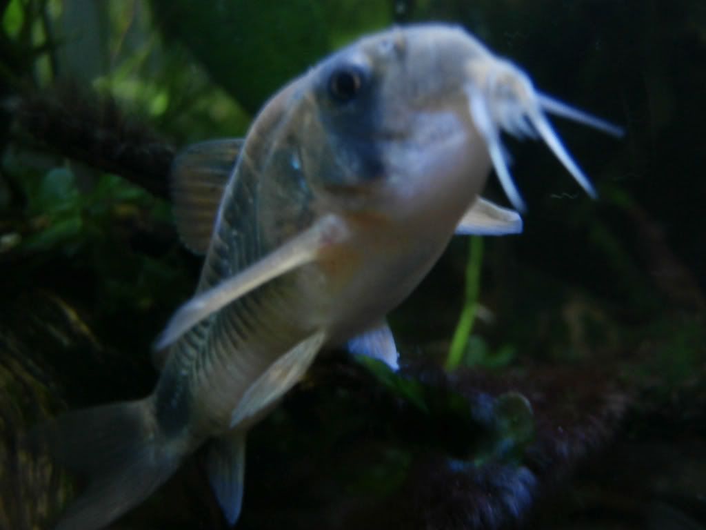 e8deebee80b4999b26cb0f4da7898ab0.jpg