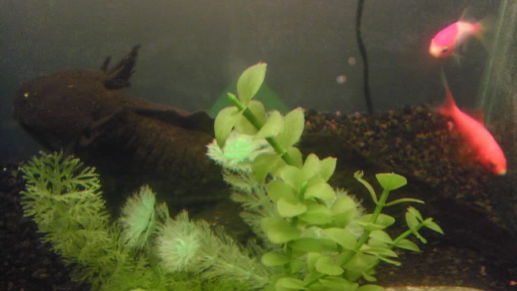 IMAG0219.jpg