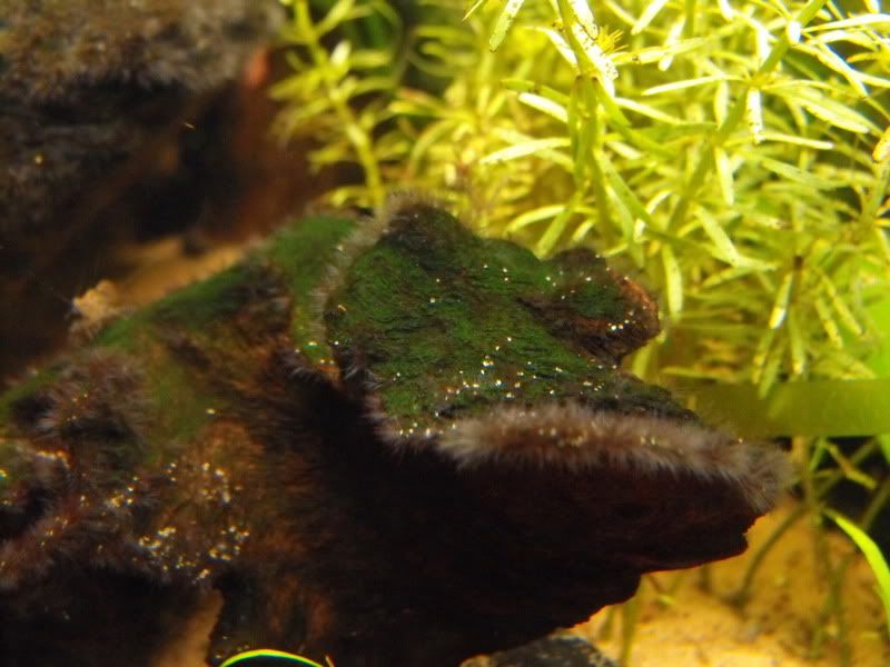 DSCF5503.jpg