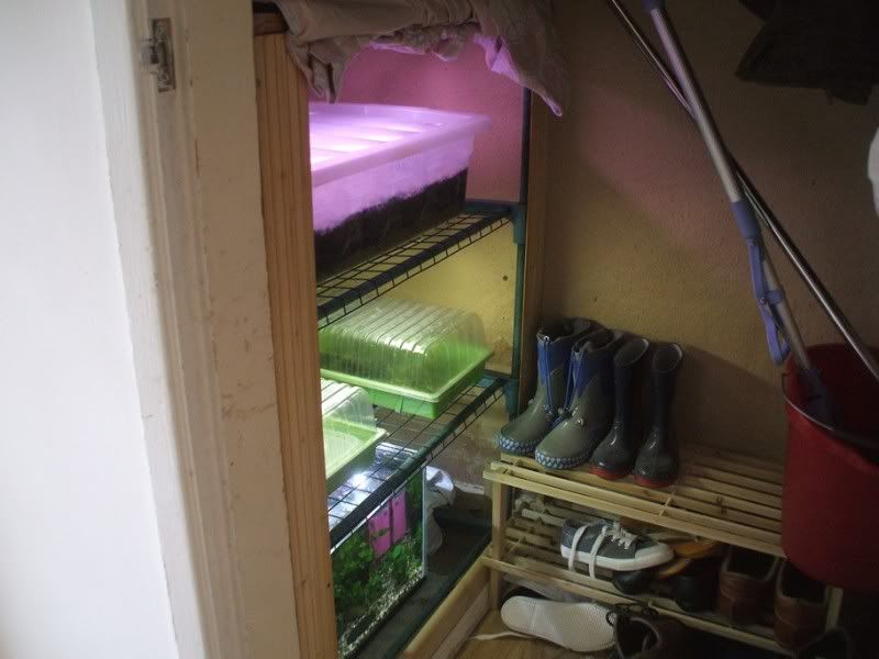 DSCF2342.jpg