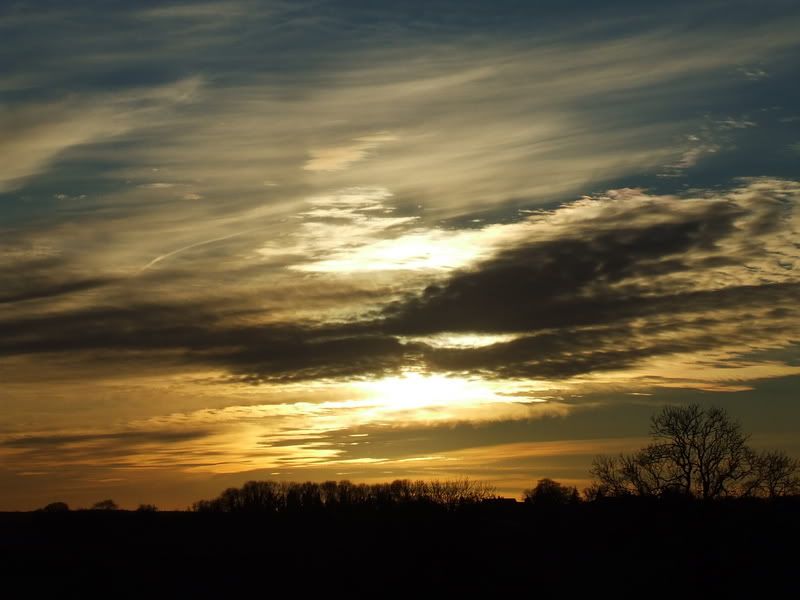 DSCF2175.jpg