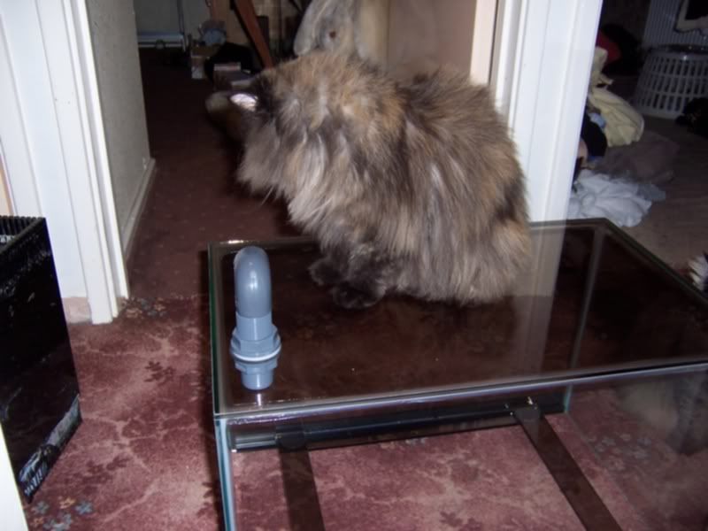100_4869.jpg