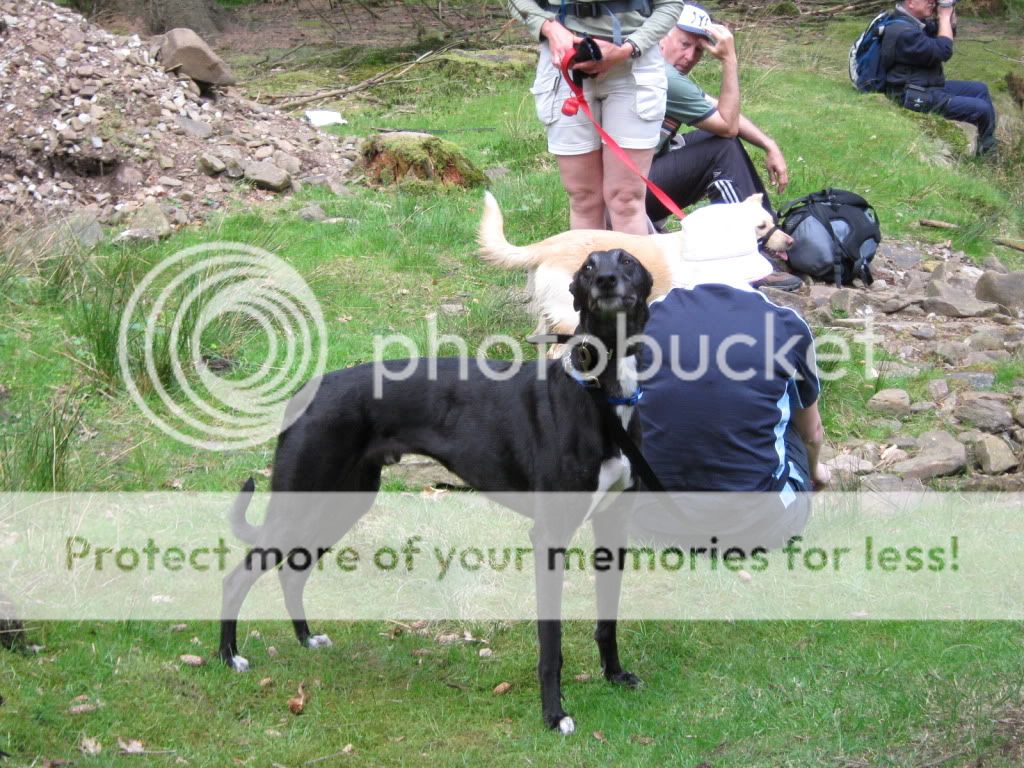 Canon057.jpg