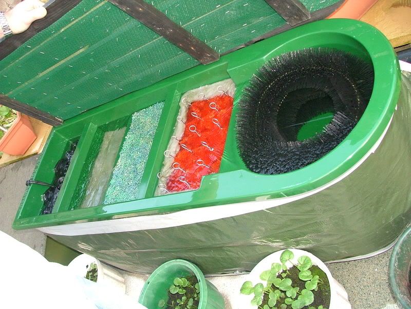 DSCF7741.jpg