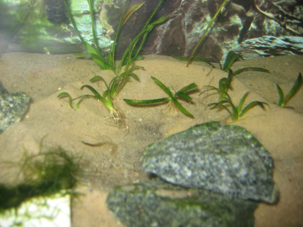 IMG_3001_zps1eb49ffc.jpg