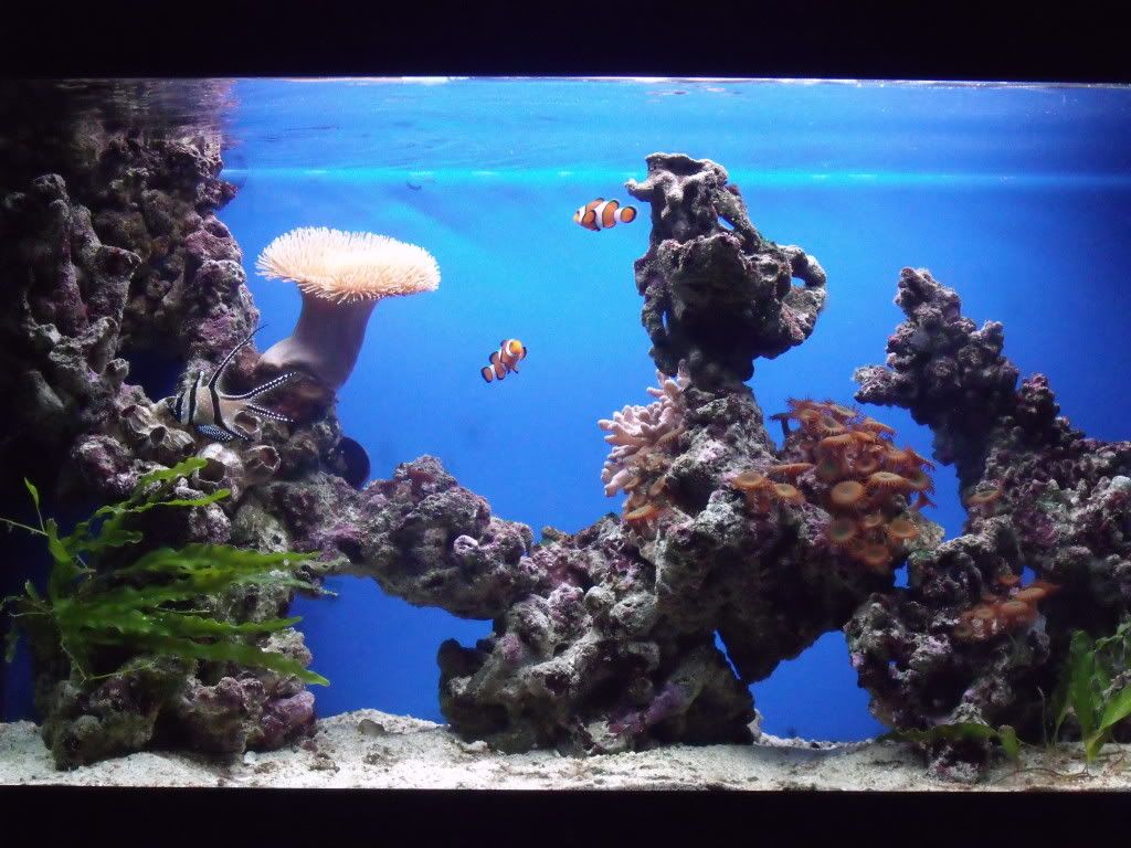 DSCF3285.jpg