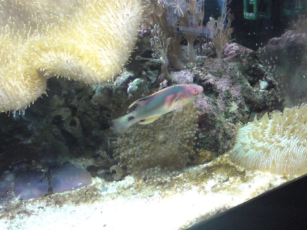 DSC00022-1.jpg