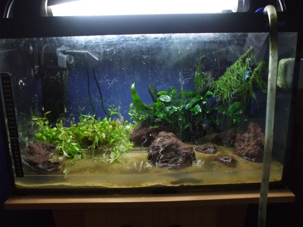 DSCF9579.jpg
