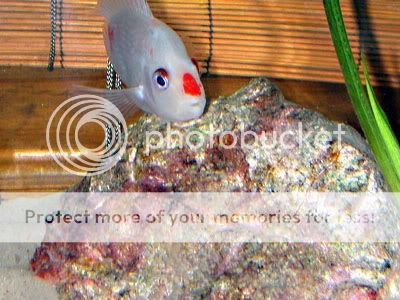 DSCN6607.jpg