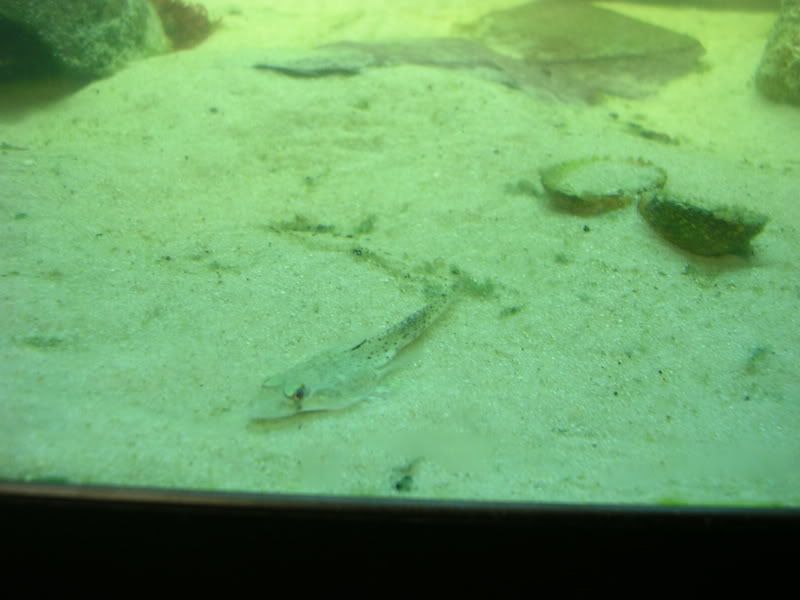 DSCN3733.jpg