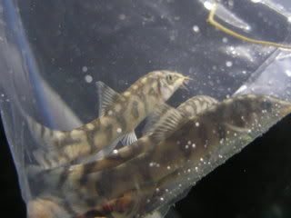 IMG003.jpg