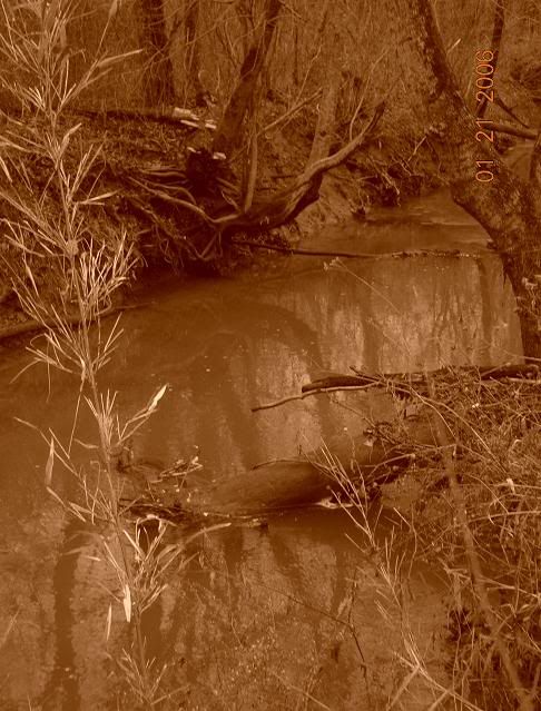 059.jpg