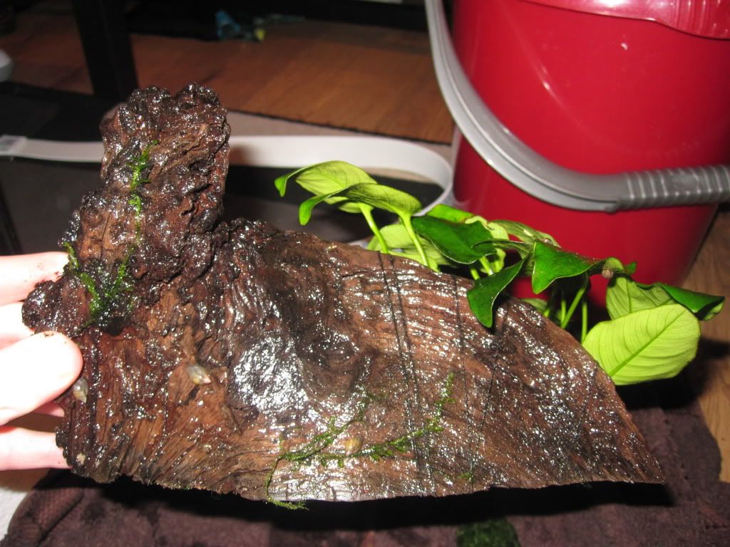 IMG_0001.jpg