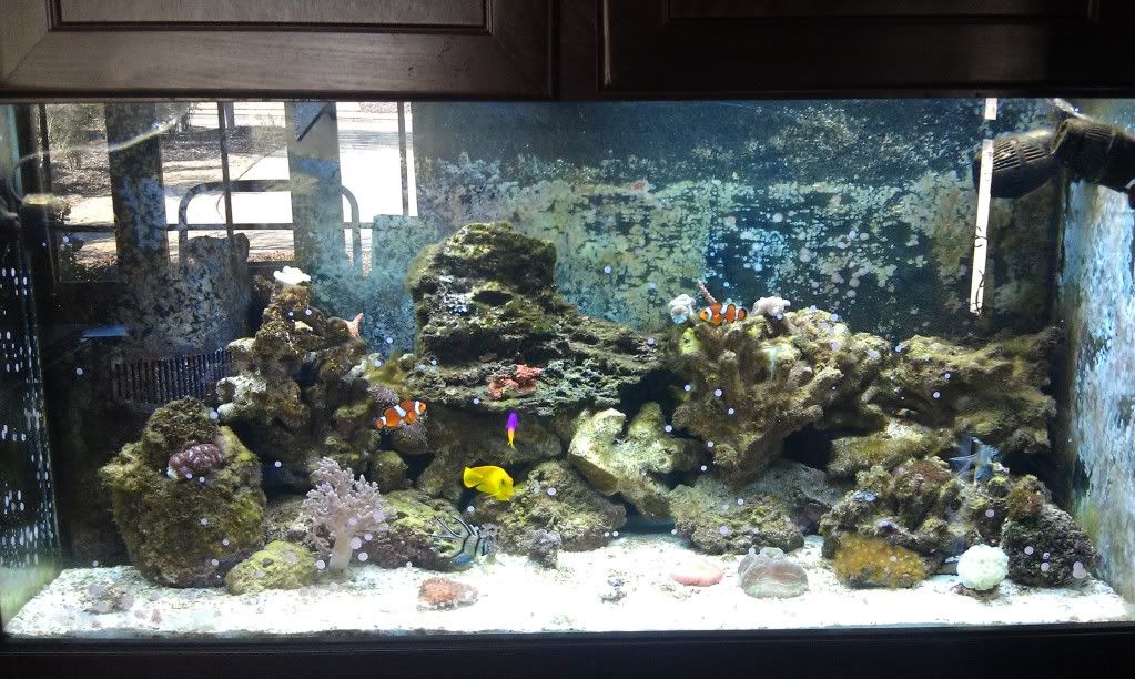 IMAG0609.jpg