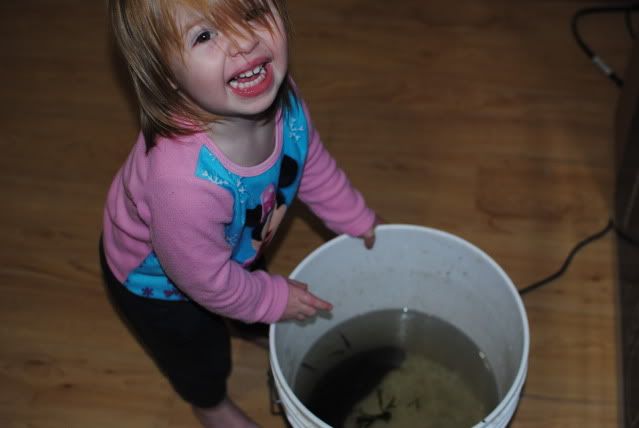 DSC_0282.jpg