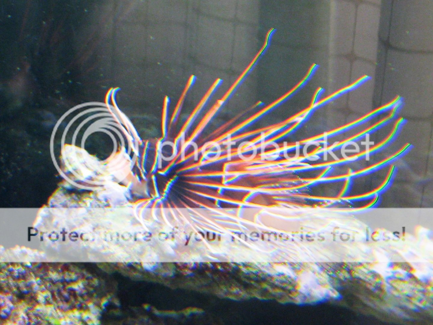 IMG_0826.jpg
