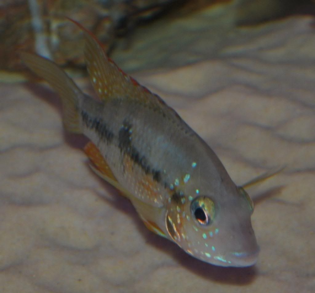 DSC_0005.jpg