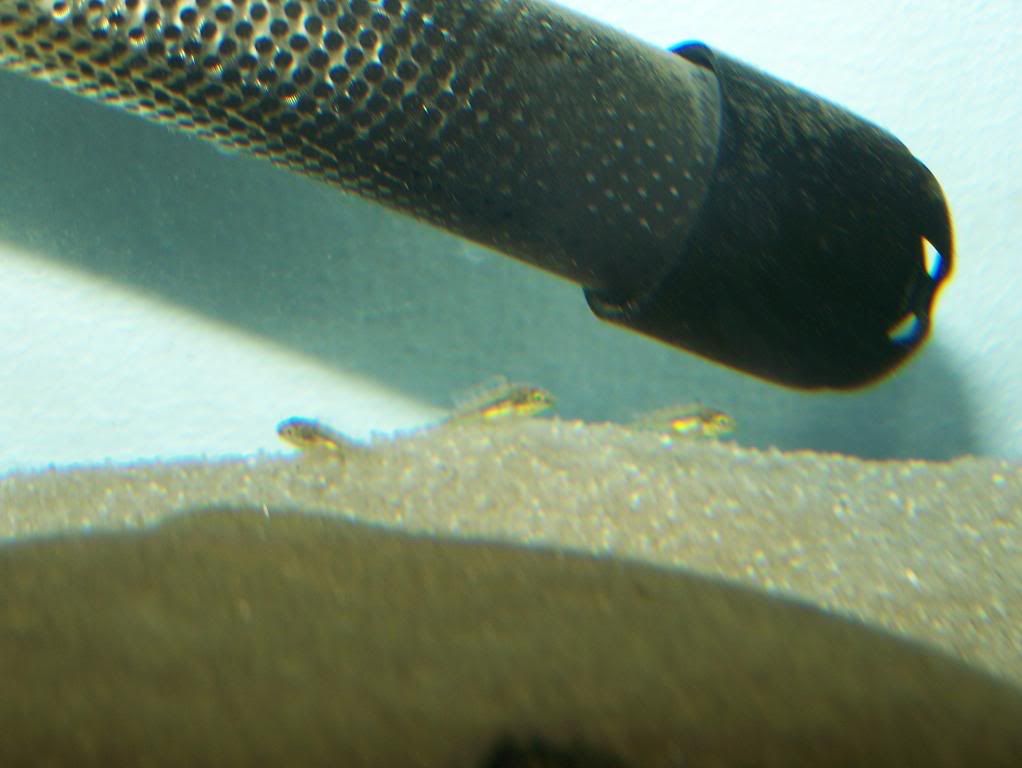 100_0940.jpg