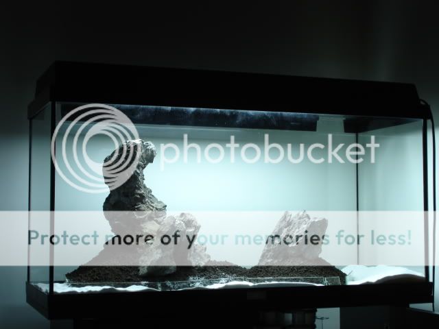 DSC03585.jpg