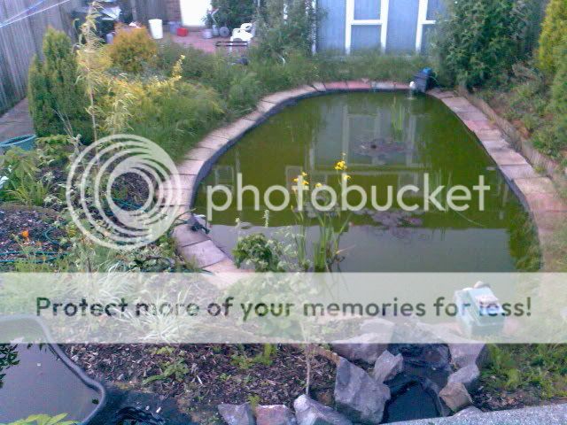 Image013-2.jpg