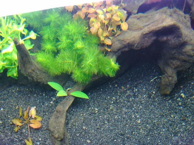 IMAG0031.jpg