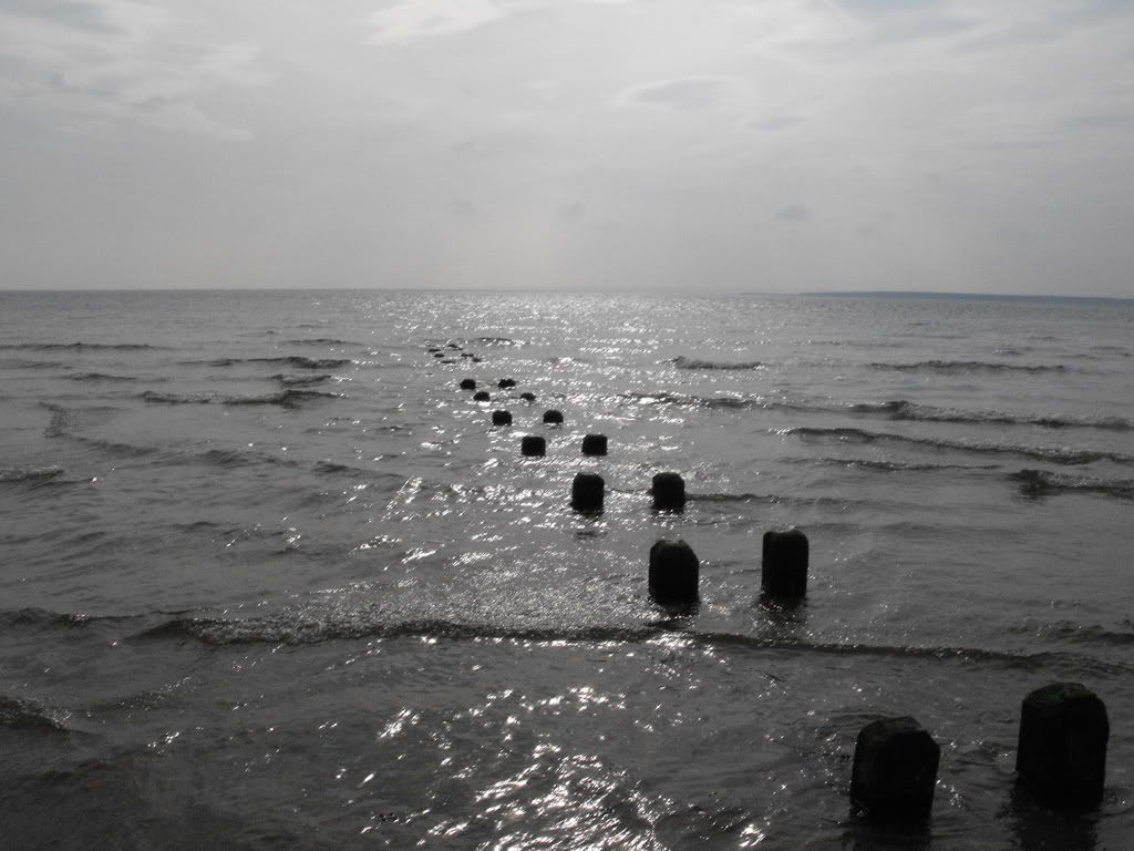 005-14.jpg