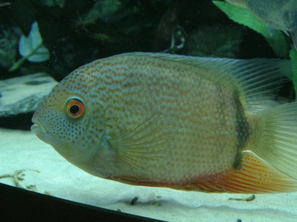 DSCF0290.jpg