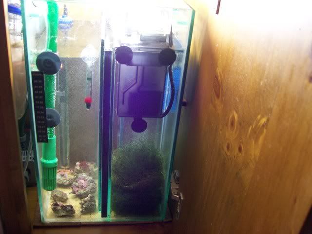 Picture059.jpg