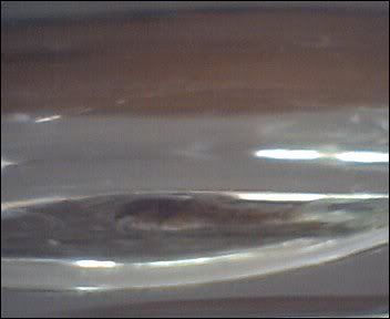 Cam00001-31.jpg