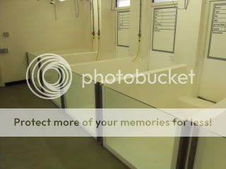 SDC11701.jpg