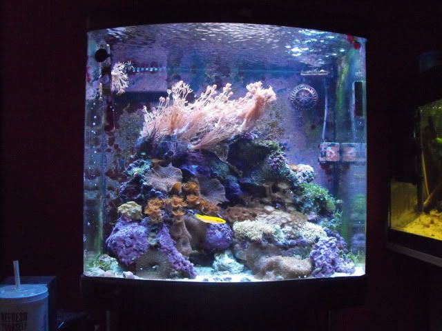 Picture014.jpg