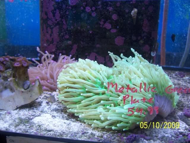 100_6145.jpg