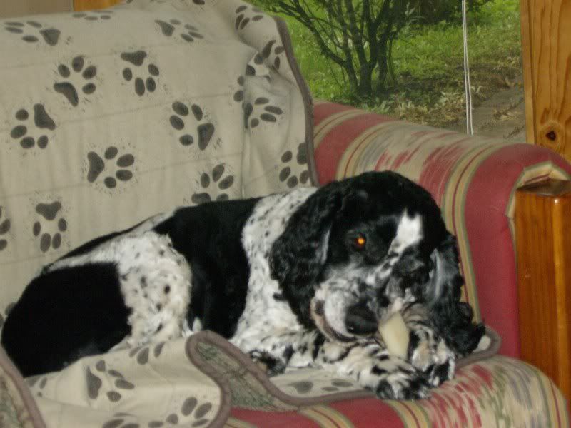 pepper005.jpg