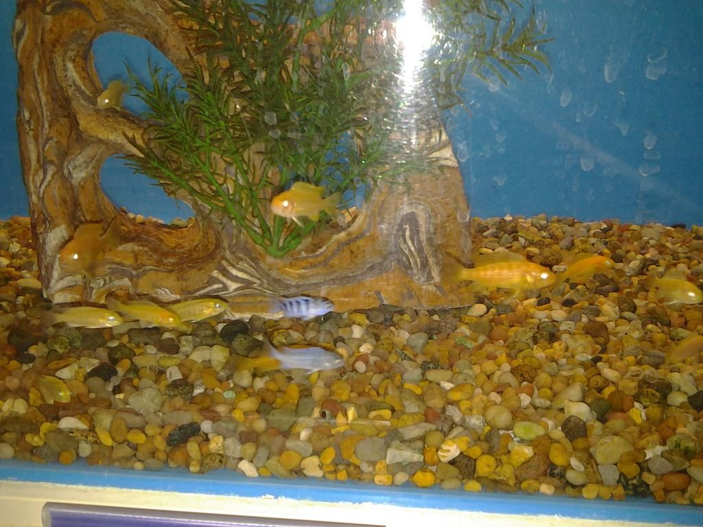 2012-11-15183212.jpg