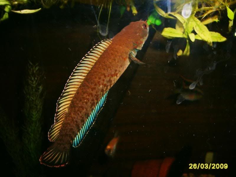 S5003050.jpg