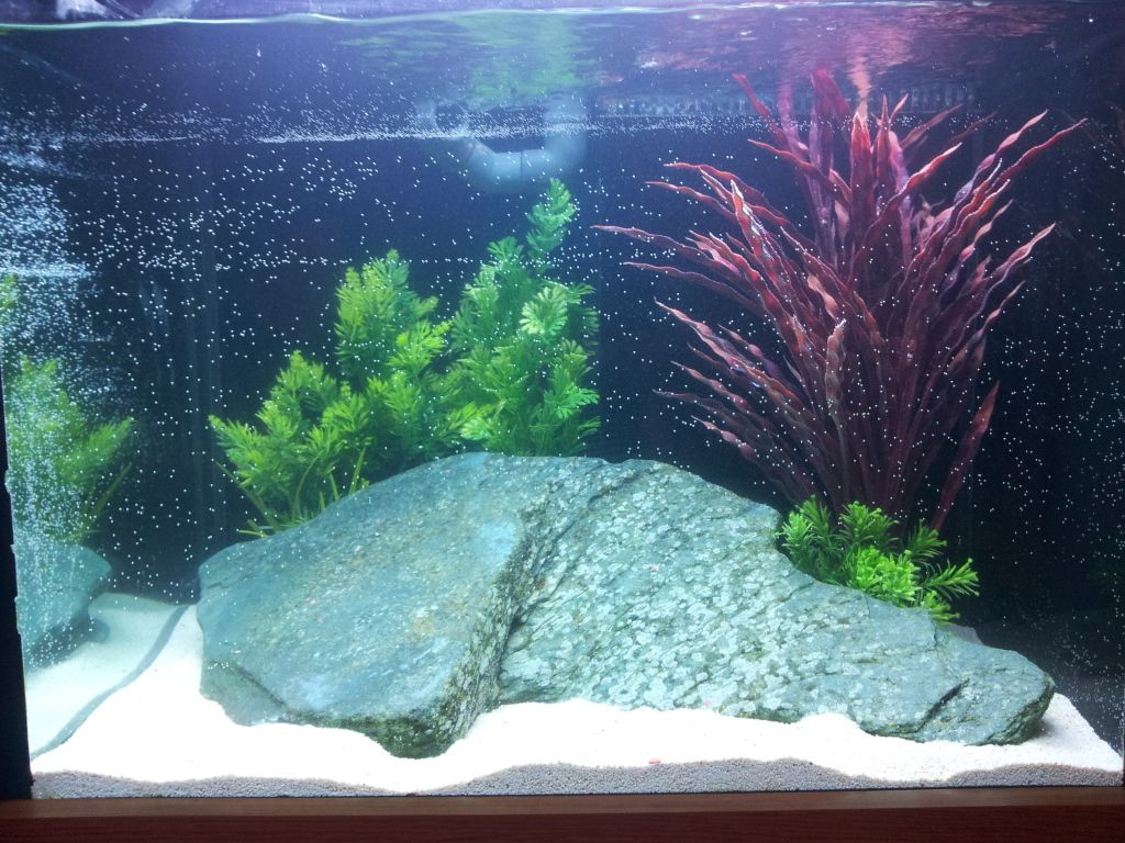 2012-09-01201732.jpg