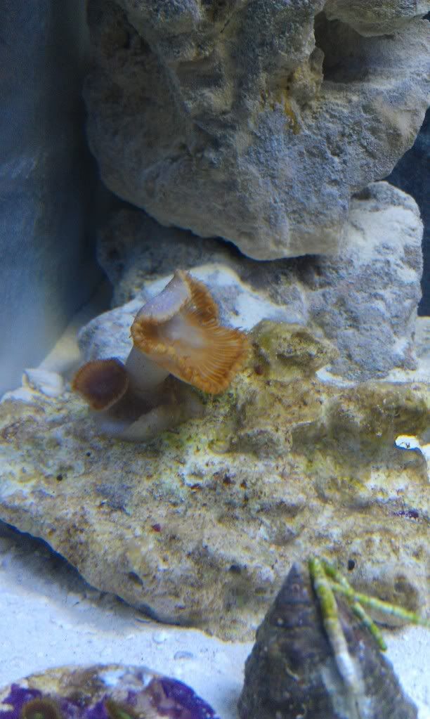 IMAG0549.jpg