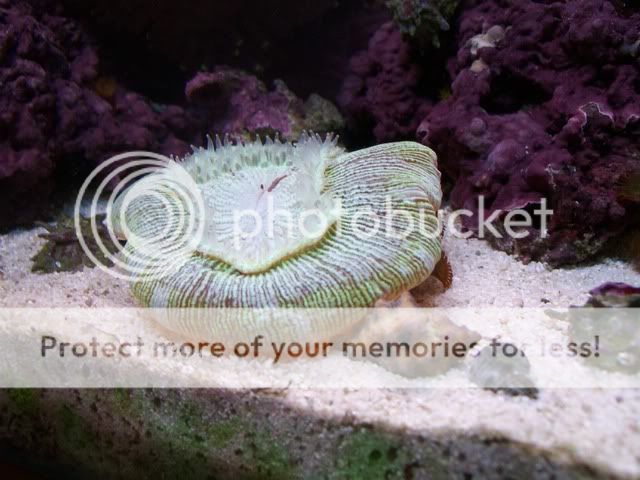 Picture045.jpg