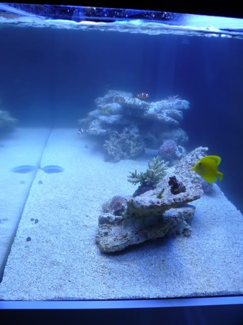 P1060084.jpg