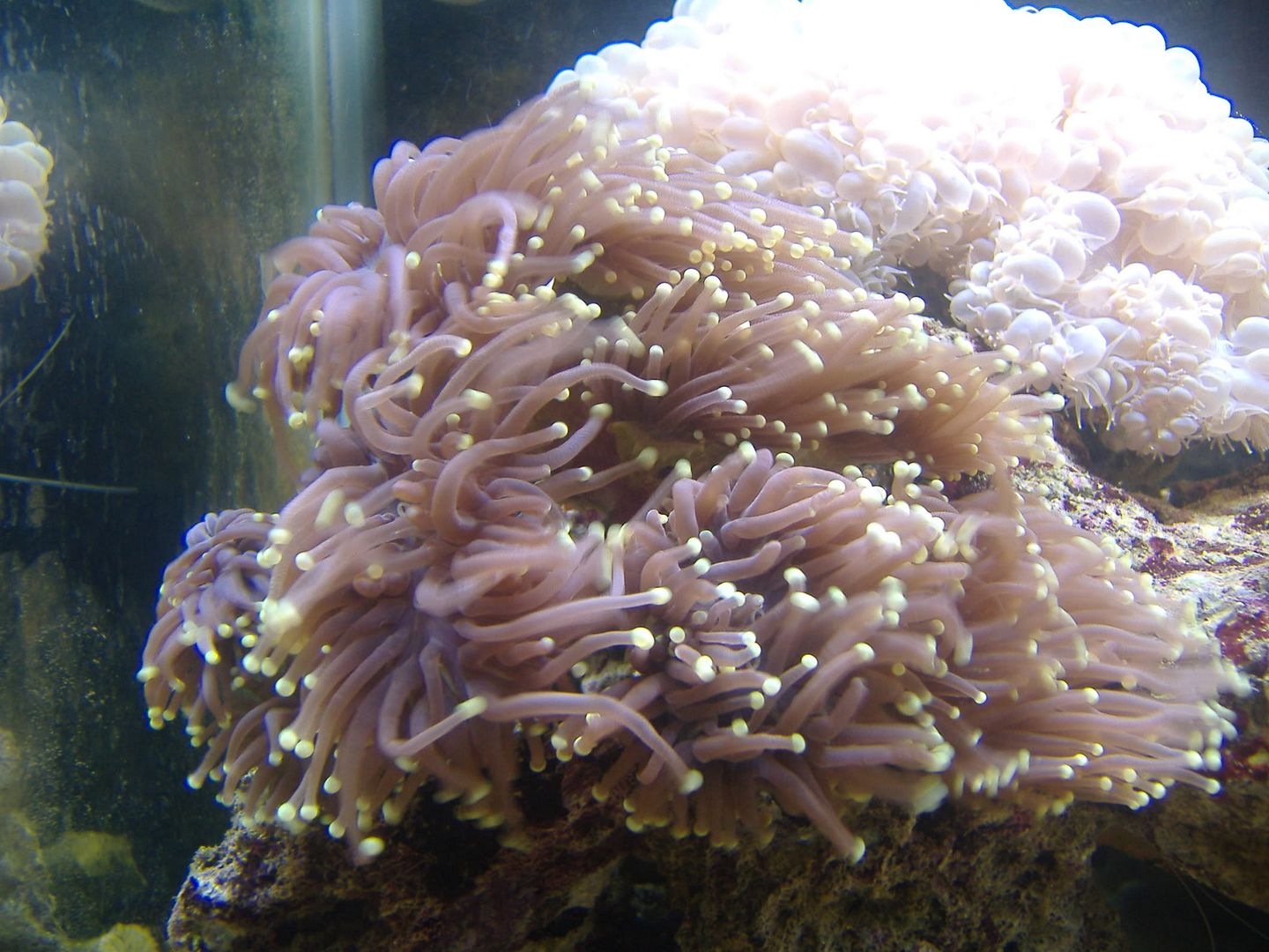 DSCF0631.jpg